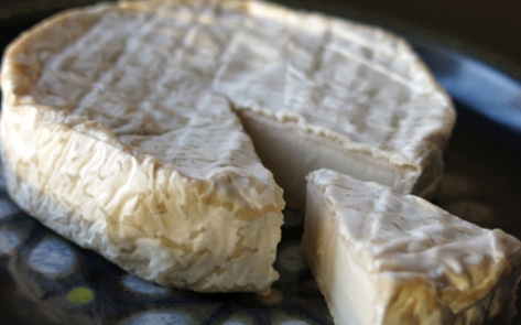 Vegan Cheese Brand Launches Fundraising Campaign