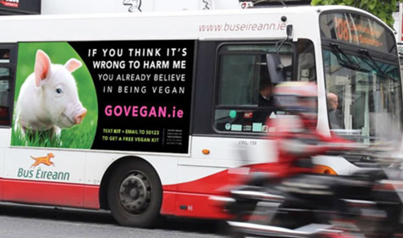 Vegan Ad Campaign Sweeps Ireland
