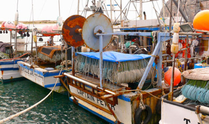 VegNews.FishingBoat