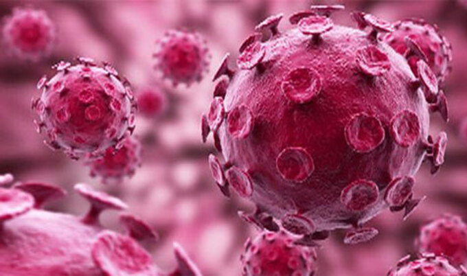 VegNews.HIVVirus