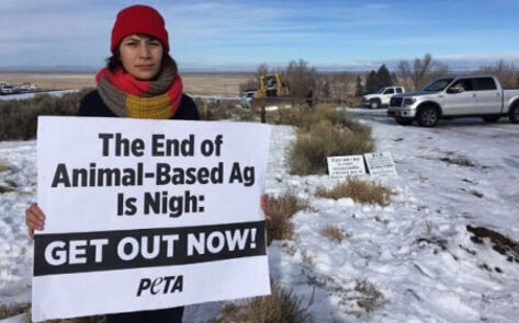 Cattle Ranchers Try Vegan Jerky and Love It