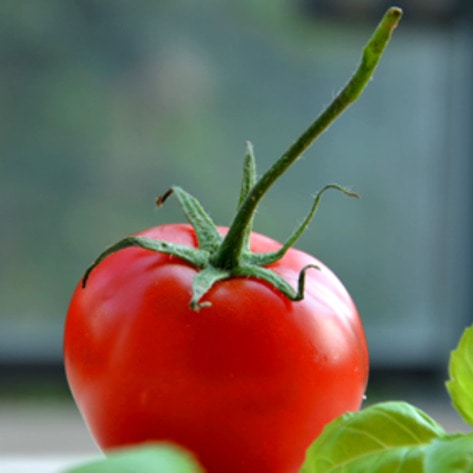 10-Year Study Shows Plant-Based Diet Slashes Cancer Risk