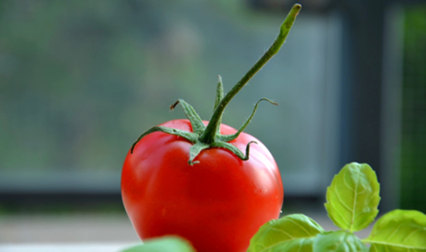 10-Year Study Shows Plant-Based Diet Slashes Cancer Risk