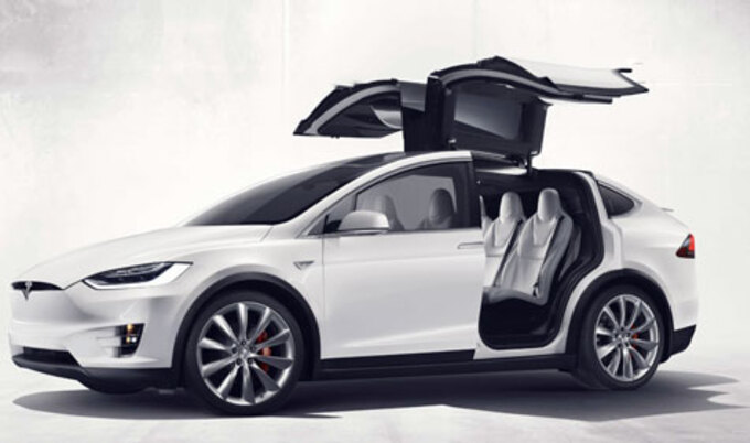 VegNews.TeslaXModel