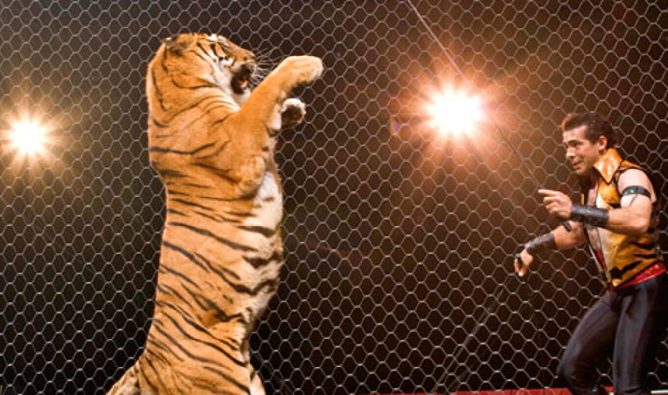 Warsaw, Poland Bans Animal Circuses