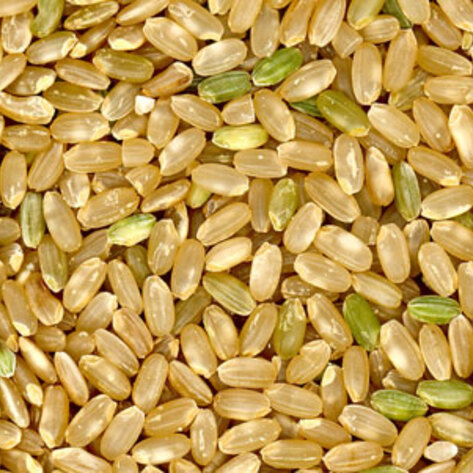 The VegNews Guide to Macrobiotics