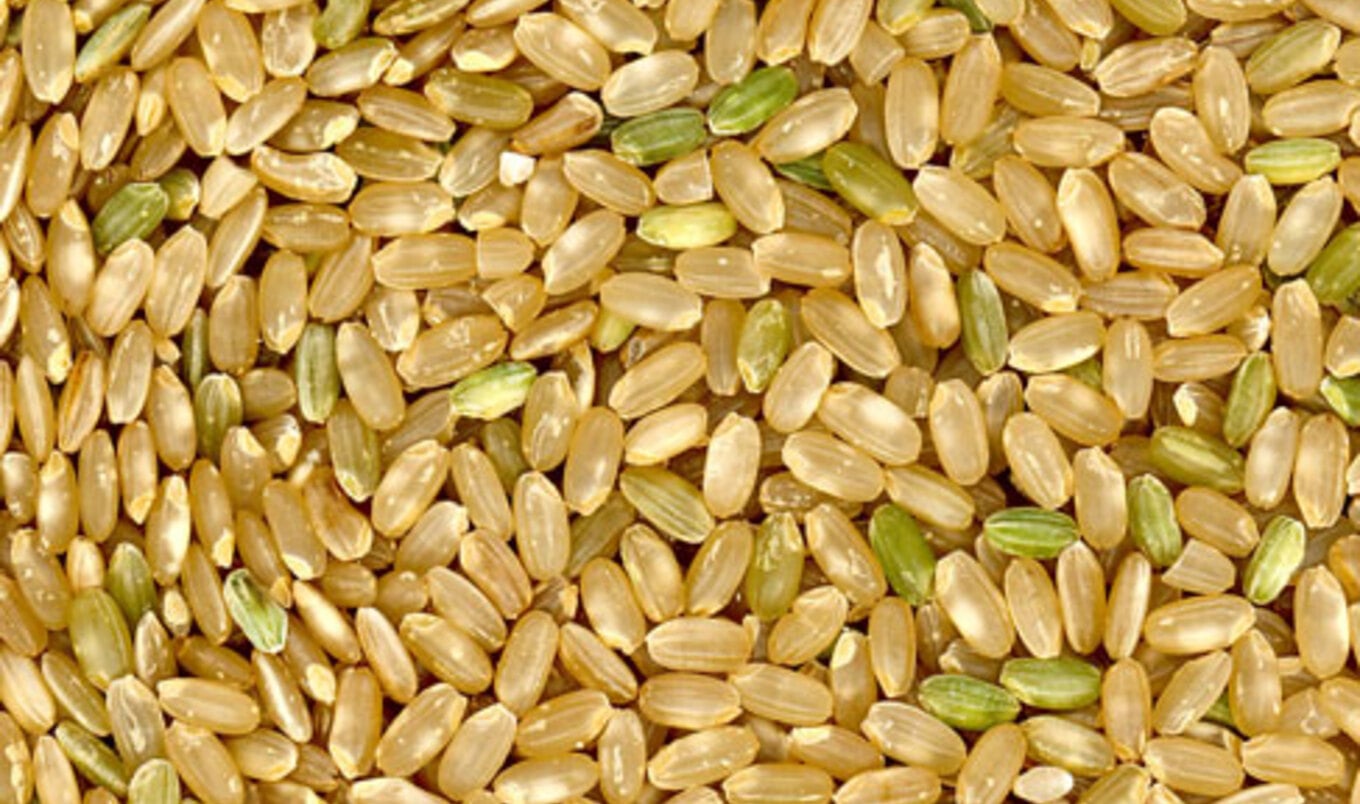 The VegNews Guide to Macrobiotics