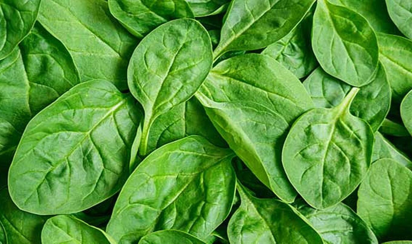 Should You Eat Raw or Cooked? We Have the Answer