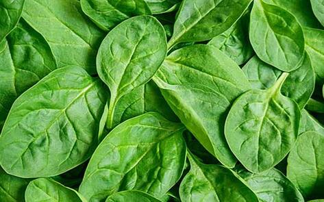 Should You Eat Raw or Cooked? We Have the Answer