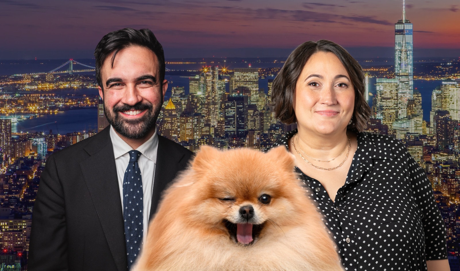 What Will Life Look Like for NYC Pets Under Mamdani? Ask His New Animal Welfare Chief.