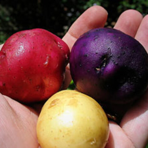 Major Brands Push "Local"