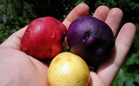 Major Brands Push "Local"