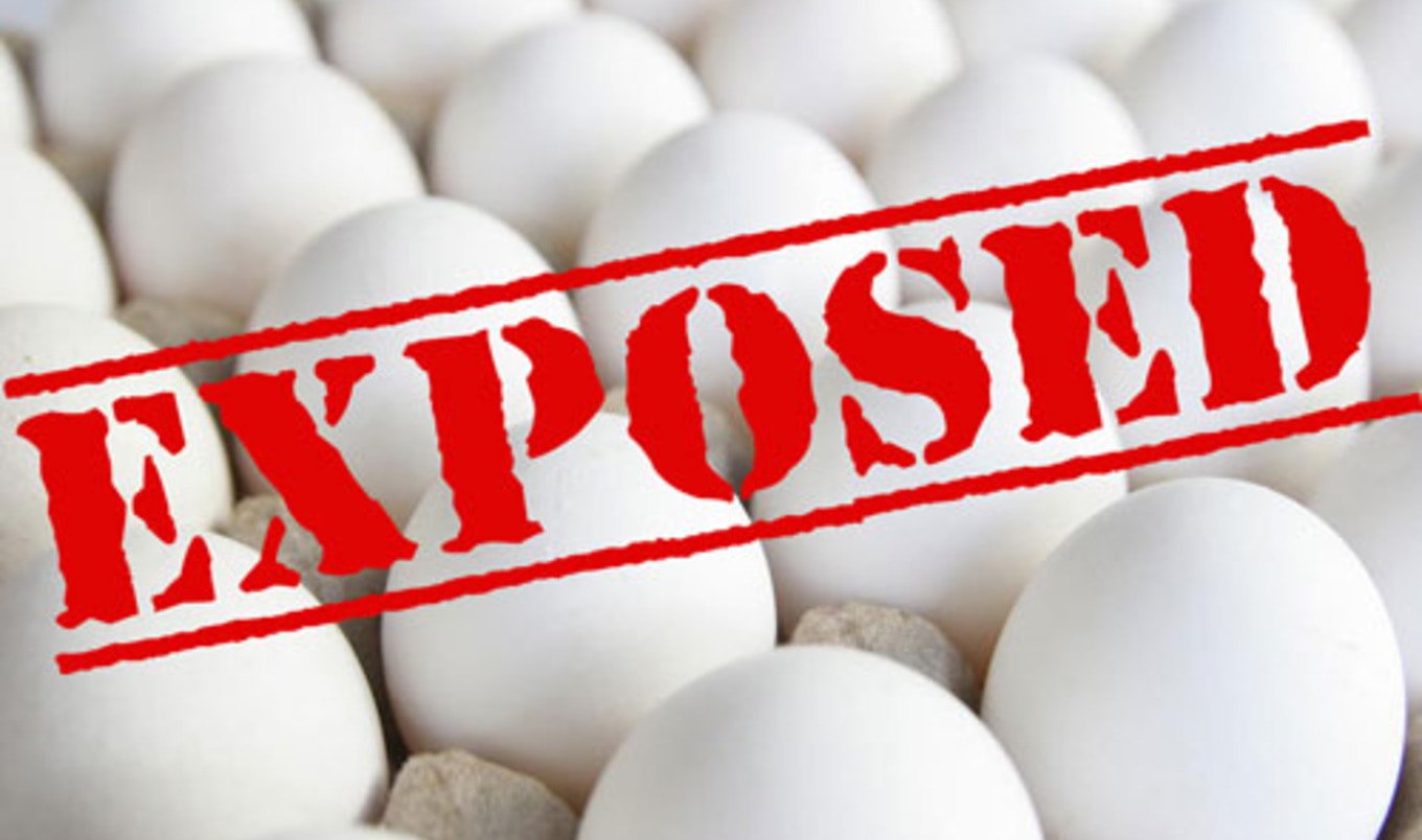 EXPOSED: The Egg Industry's Plot to Eliminate Just Mayo