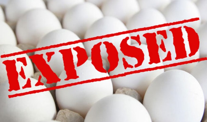VegNews.EggIndustry