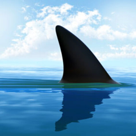 Toyota Called Out for Involvement in "Monster Shark" Hunt