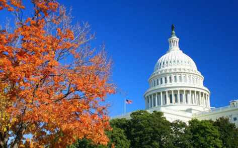 This Weekend: Vegetarian Festival Takes Place in DC