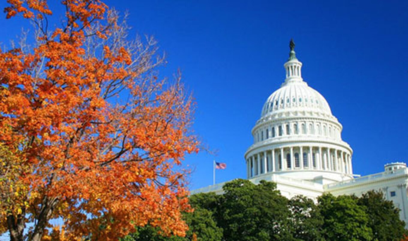 This Weekend: Vegetarian Festival Takes Place in DC