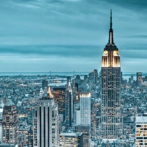 NYC Group Holds Gala to Bring Vegan Food to Public Schools