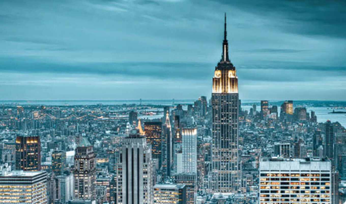 NYC Group Holds Gala to Bring Vegan Food to Public Schools