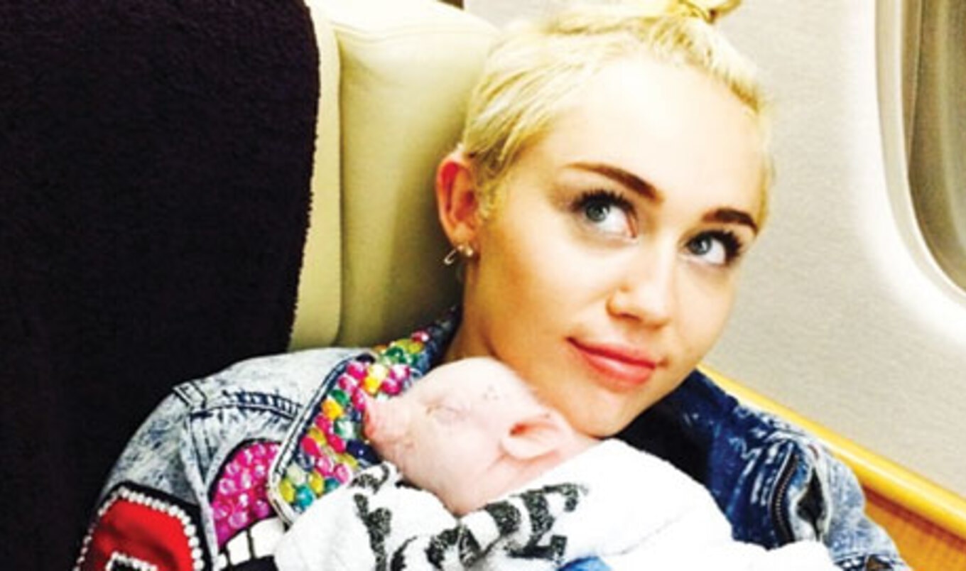 Miley Cyrus Talks Veganism on <i>The Tonight Show</i>