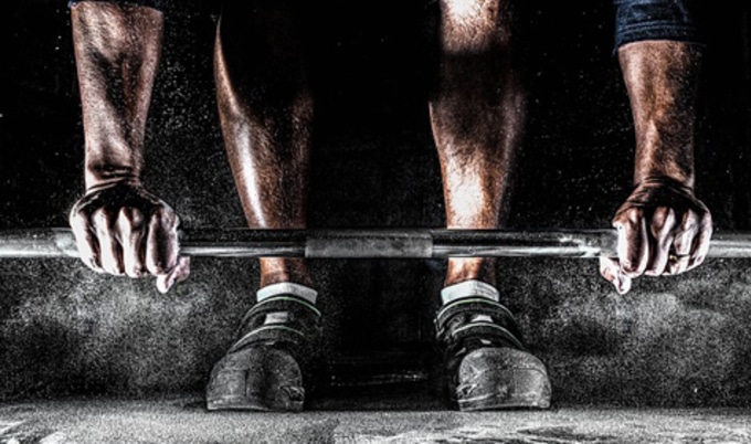 VegNewsMuscle.Fitness