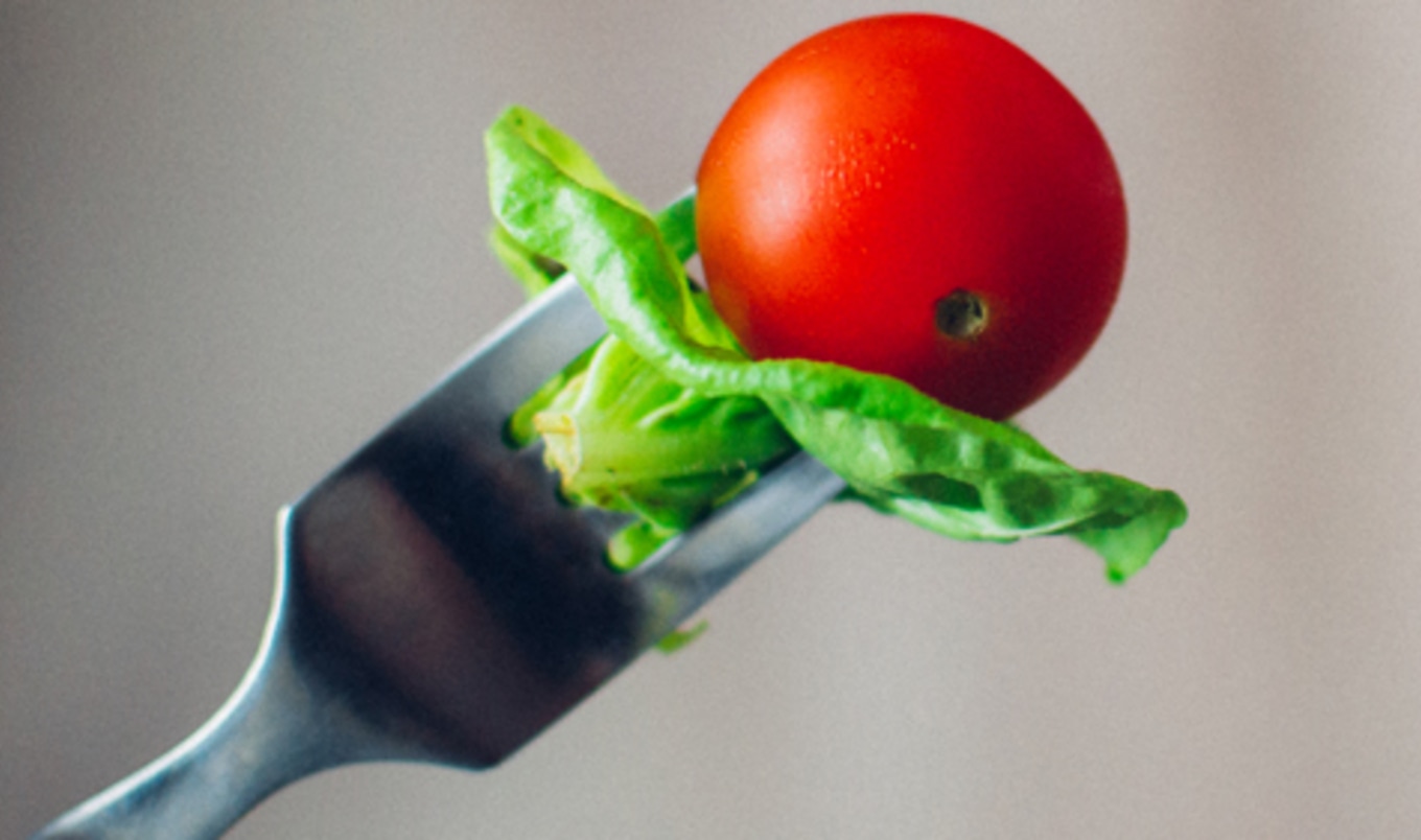 Cape Cod Restaurants Take On Vegan Challenge VegNews