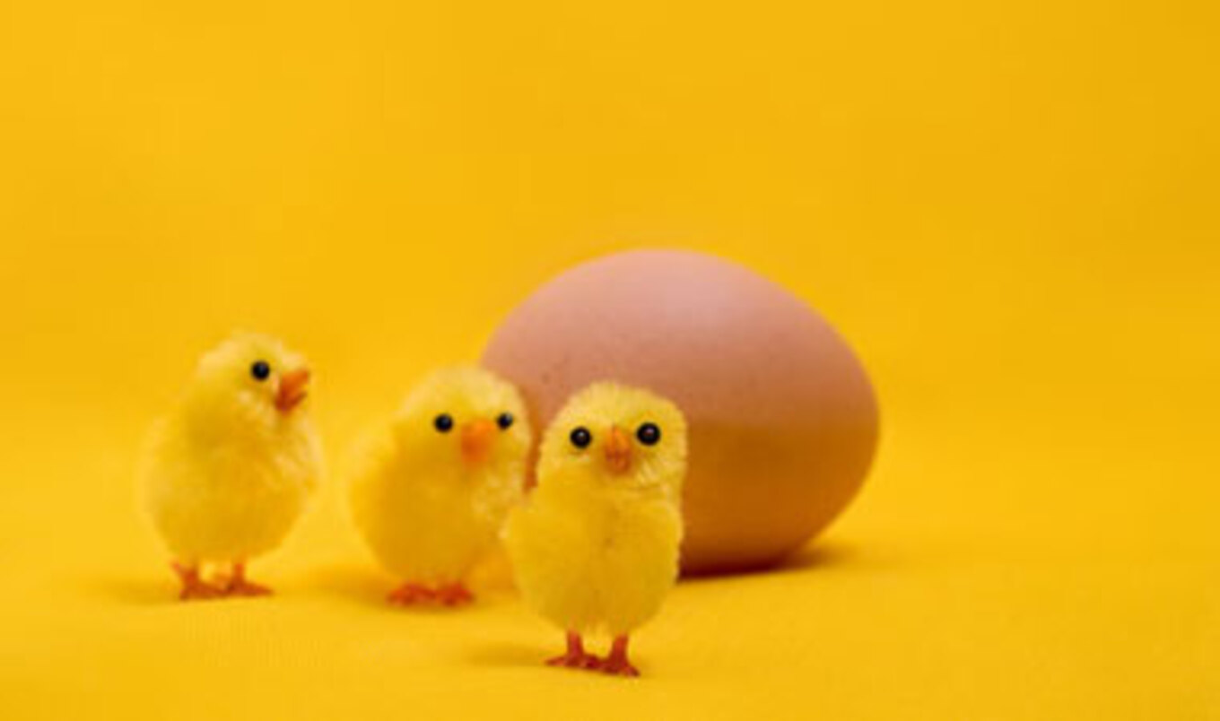 Hatchery Horror Story