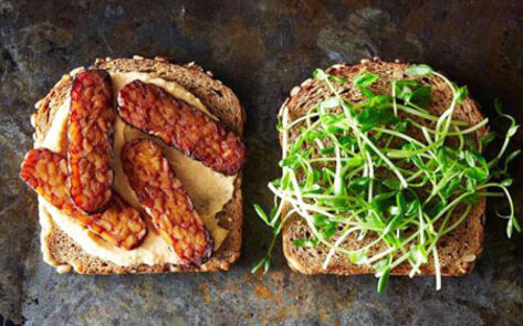 Vegan Author Pens Protein Piece for <i>Time</i> and Yahoo