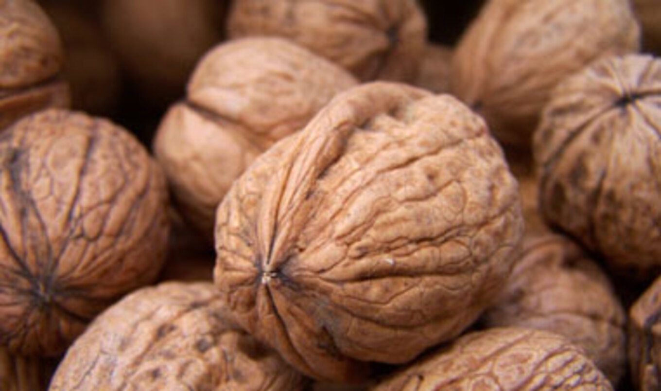 Study: Nut Consumption Linked to Increased Lifespan