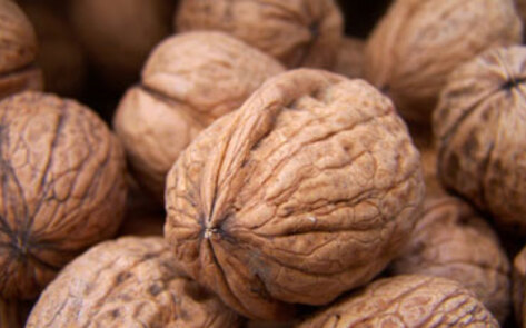 Study: Nut Consumption Linked to Increased Lifespan