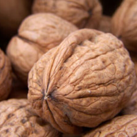 Study: Nut Consumption Linked to Increased Lifespan