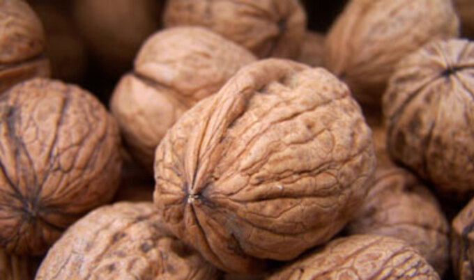 walnuts.VND.2