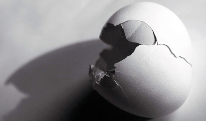 VegNews.BrokenEgg