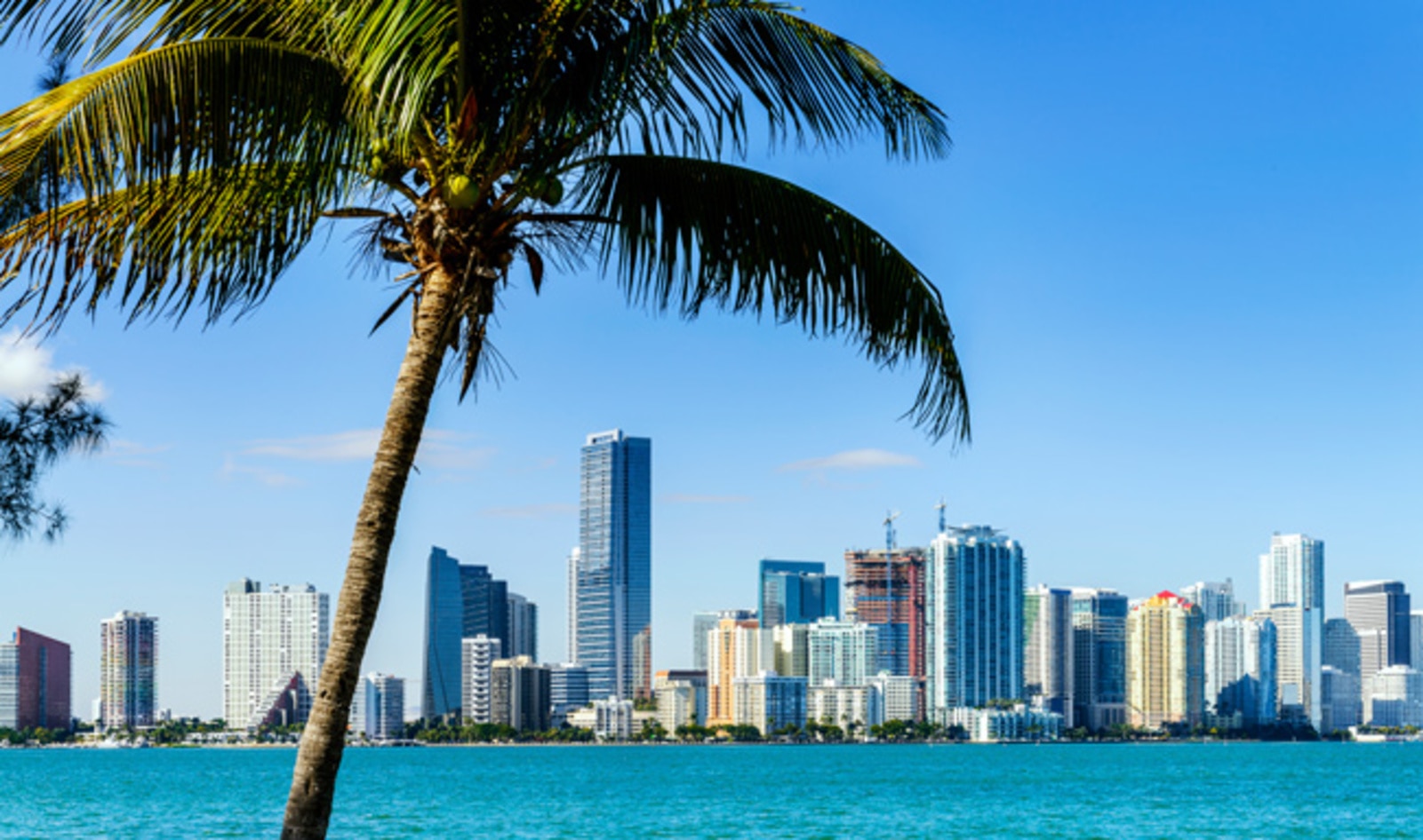 10,000 Expected to Descend Upon Miami Vegan Festival This Fall