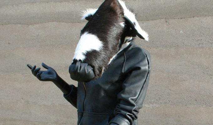 VegNews.CowJacket