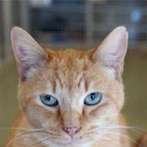 Compassionate Credit Card