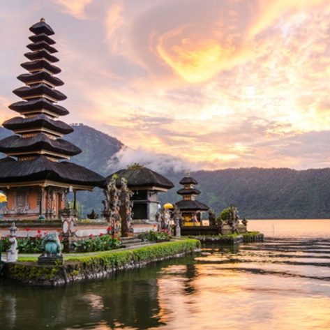 Best Vegan Food in Bali