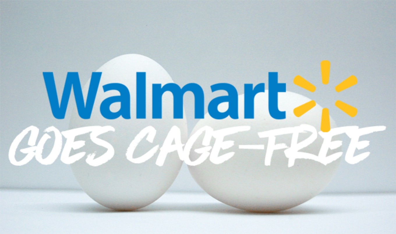 All Walmart Locations in the United States to Go Cage-Free