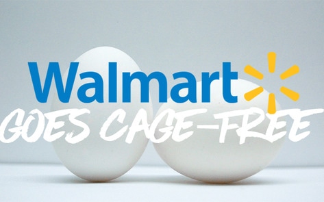 All Walmart Locations in the United States to Go Cage-Free