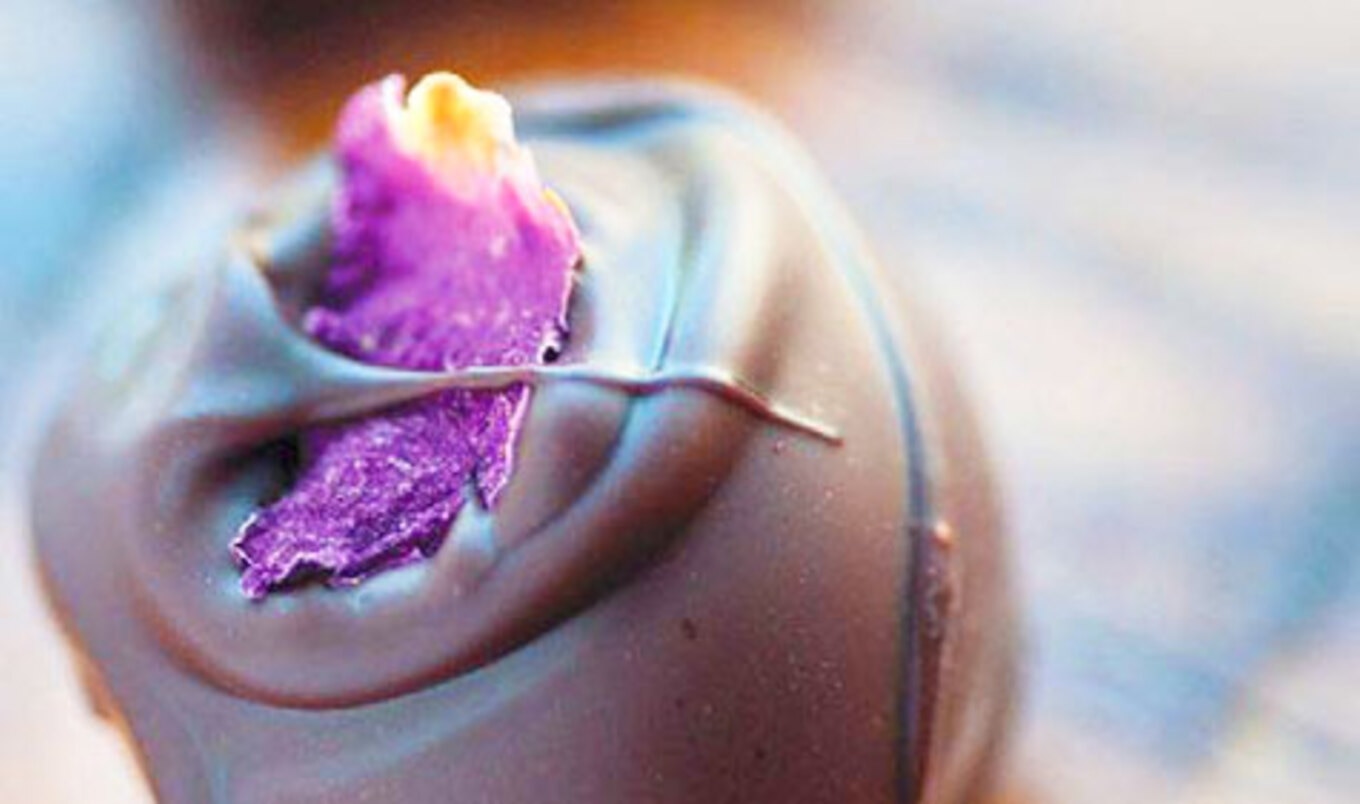 Vegan Chocolate Shop to Open in New York City