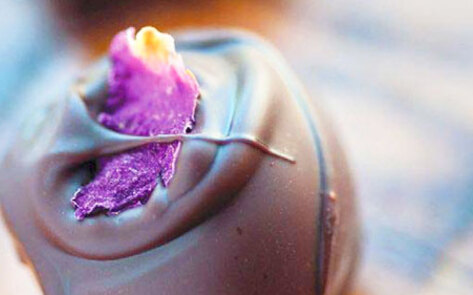 Vegan Chocolate Shop to Open in New York City