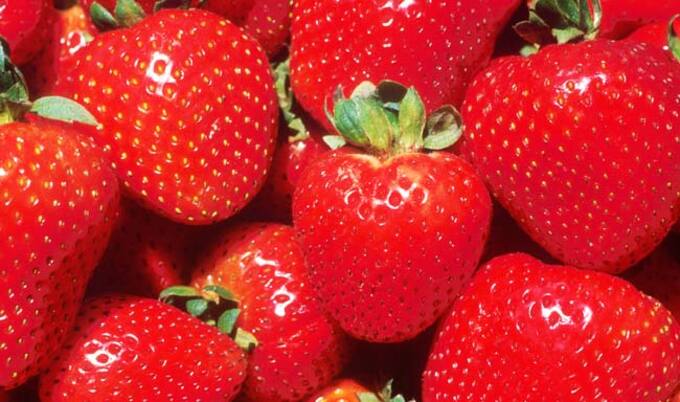VegNews.Strawberries