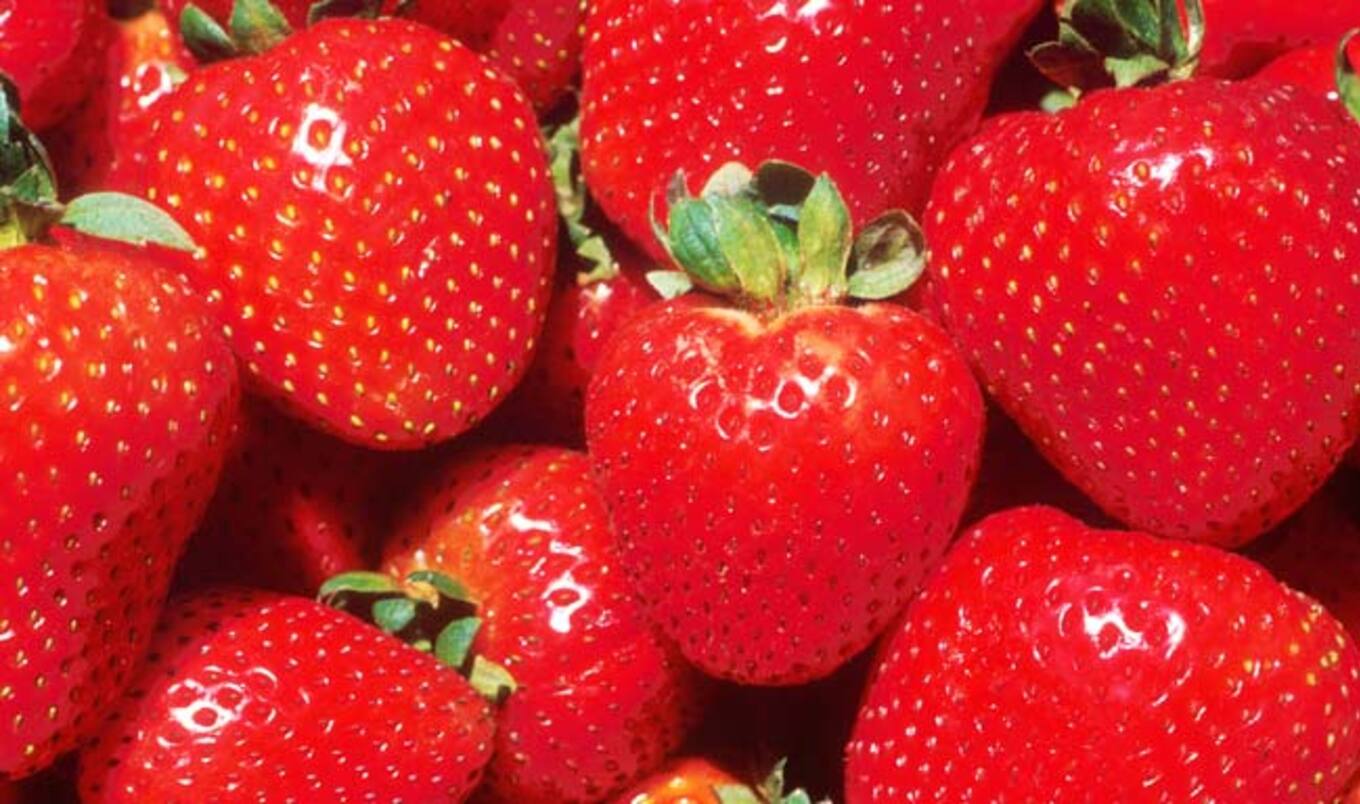 Strawberries Top 2016 Dirty Dozen List