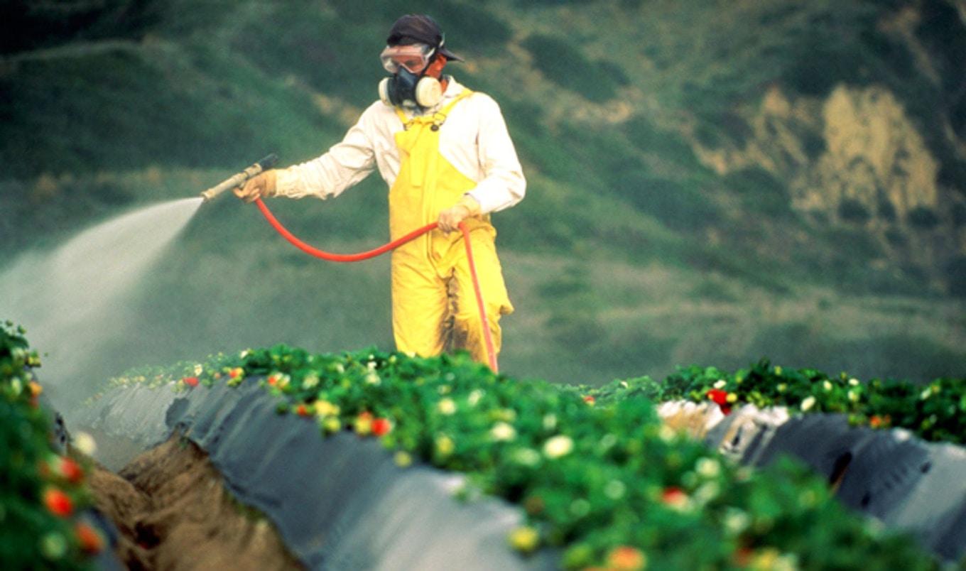 99.6% of Germans Test Positive for Monsanto Poisoning