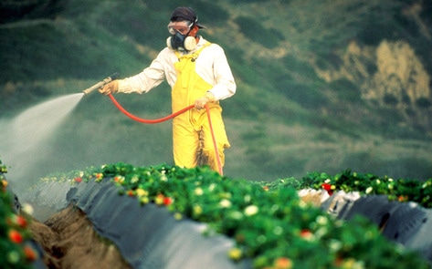 99.6% of Germans Test Positive for Monsanto Poisoning