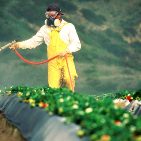 99.6% of Germans Test Positive for Monsanto Poisoning