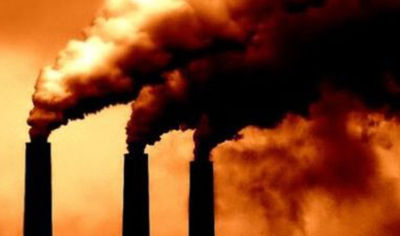 <i>Business Insider</i> Gives 7 Reasons to Go Meat-Free