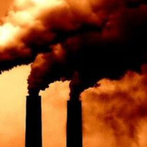 Study Measures Food Emissions