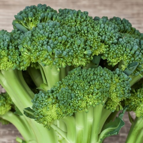 Our Favorite Iron-Rich Foods