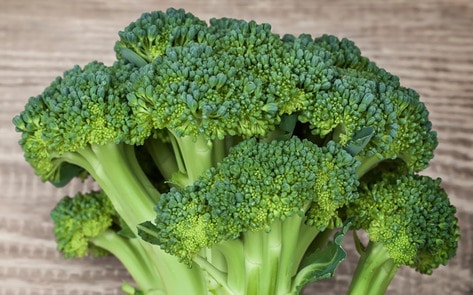 Our Favorite Iron-Rich Foods